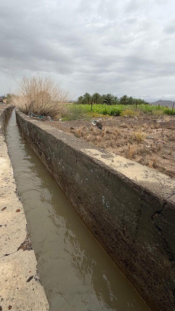 صحيفة اليوم العمانية - عودة جريان فلج الأجرد بجبرين بولاية بهلاء تُنعش الزراعة وتُبهج الأهالي بعد انقطاع دام عامين