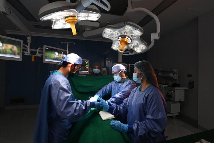 صحيفة اليوم العمانية - سلطنةُ عُمان تحتفي باليوم العالمي للصّحة وتؤكّد على التزامها بالابتكار الصحي  