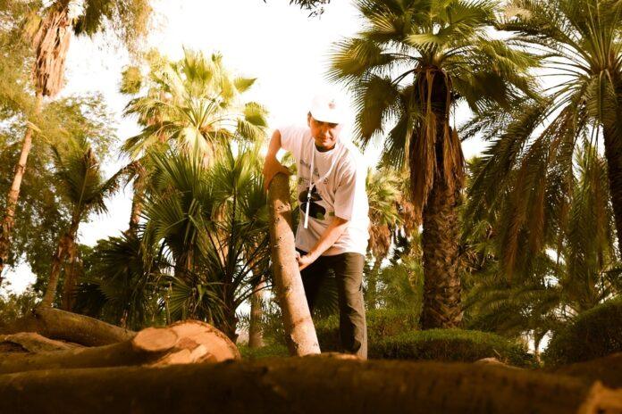 صحيفة اليوم العمانية - 