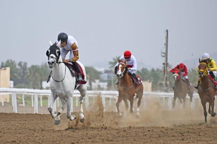 صحيفة اليوم العمانية - 10أشواط في السباق الـ/23/ لسباقات الخيل بمضمار الرحبة