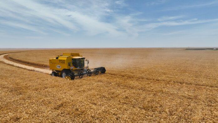 صحيفة اليوم العمانية - وزارة الثروة الزراعية والسمكية وموارد المياه تواصل حصاد القمح في النجد الزراعية