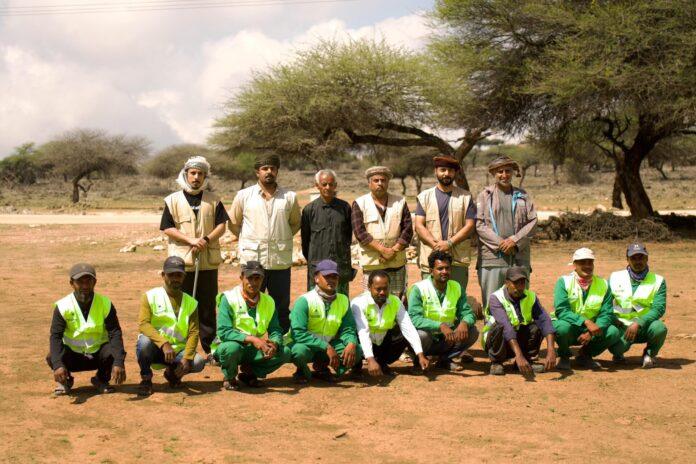 صحيفة اليوم العمانية - للعام السادس على التوالي.. “بيئة ظفار” تنفذ حملة لنثر بذور الأشجار المحلية تزامناً مع الحالة الجوية